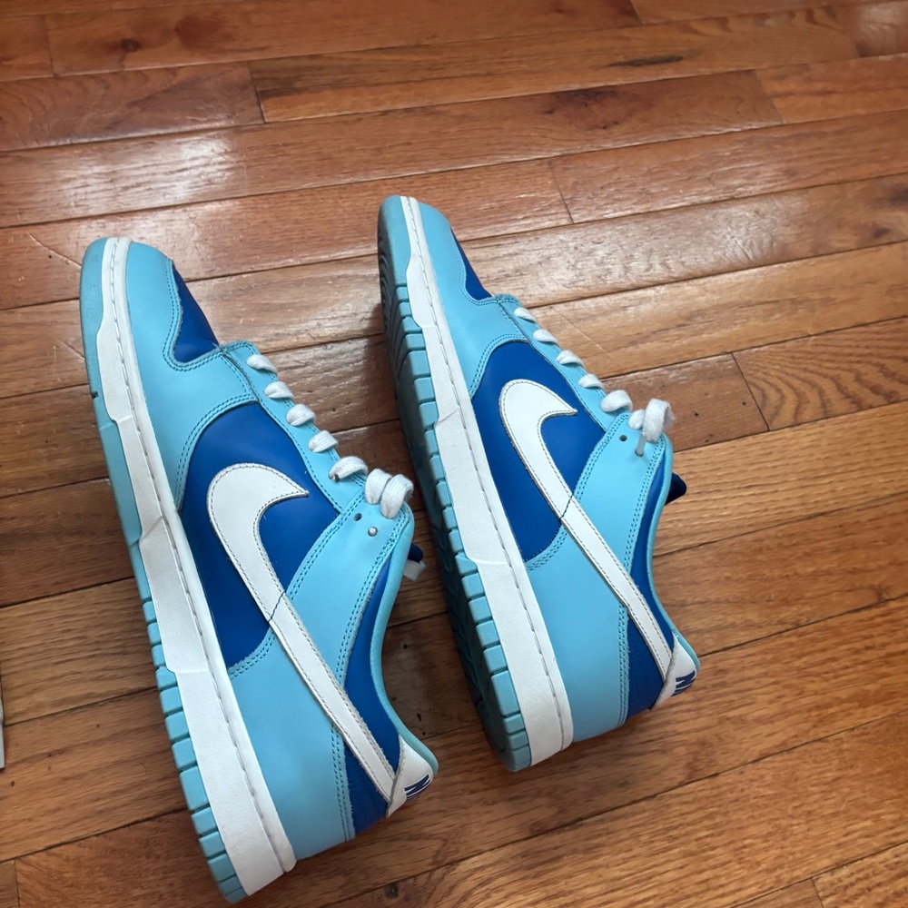 Nike dunk low argon